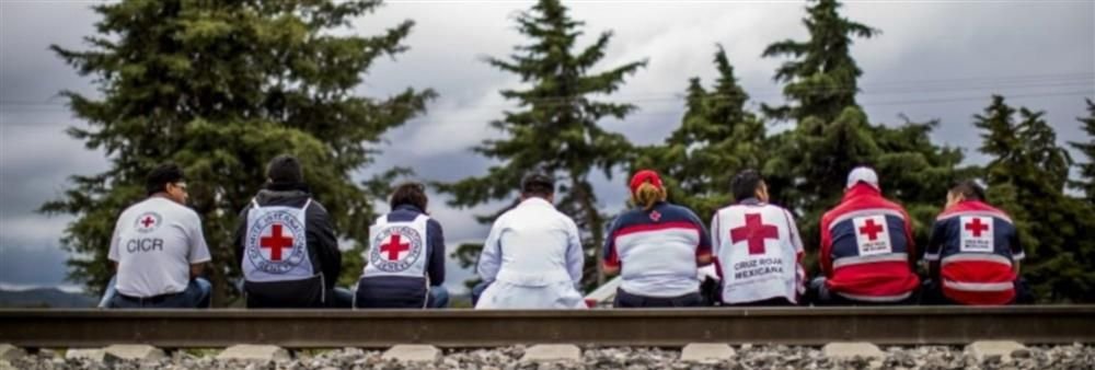 Digital Learning Officer